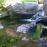 Hayucas *